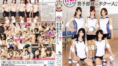 T28-439 浜崎真緒, 神波多一花, 水野朝陽, 香山美桜, 白岡ゆきほ