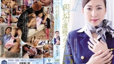 SHKD-713-REDUCING-MOSAIC 松下紗栄子